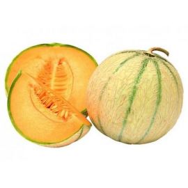 [Bakelab] Melon Compound