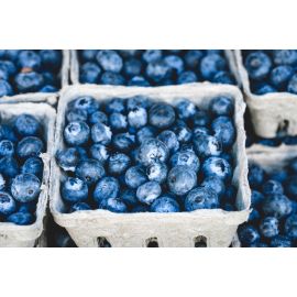Blueberry Flavour (NI)